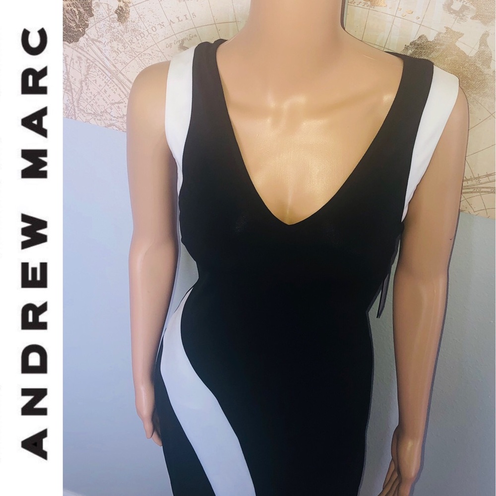 Andrew Marc Color Block Dress - Picture 3 of 6